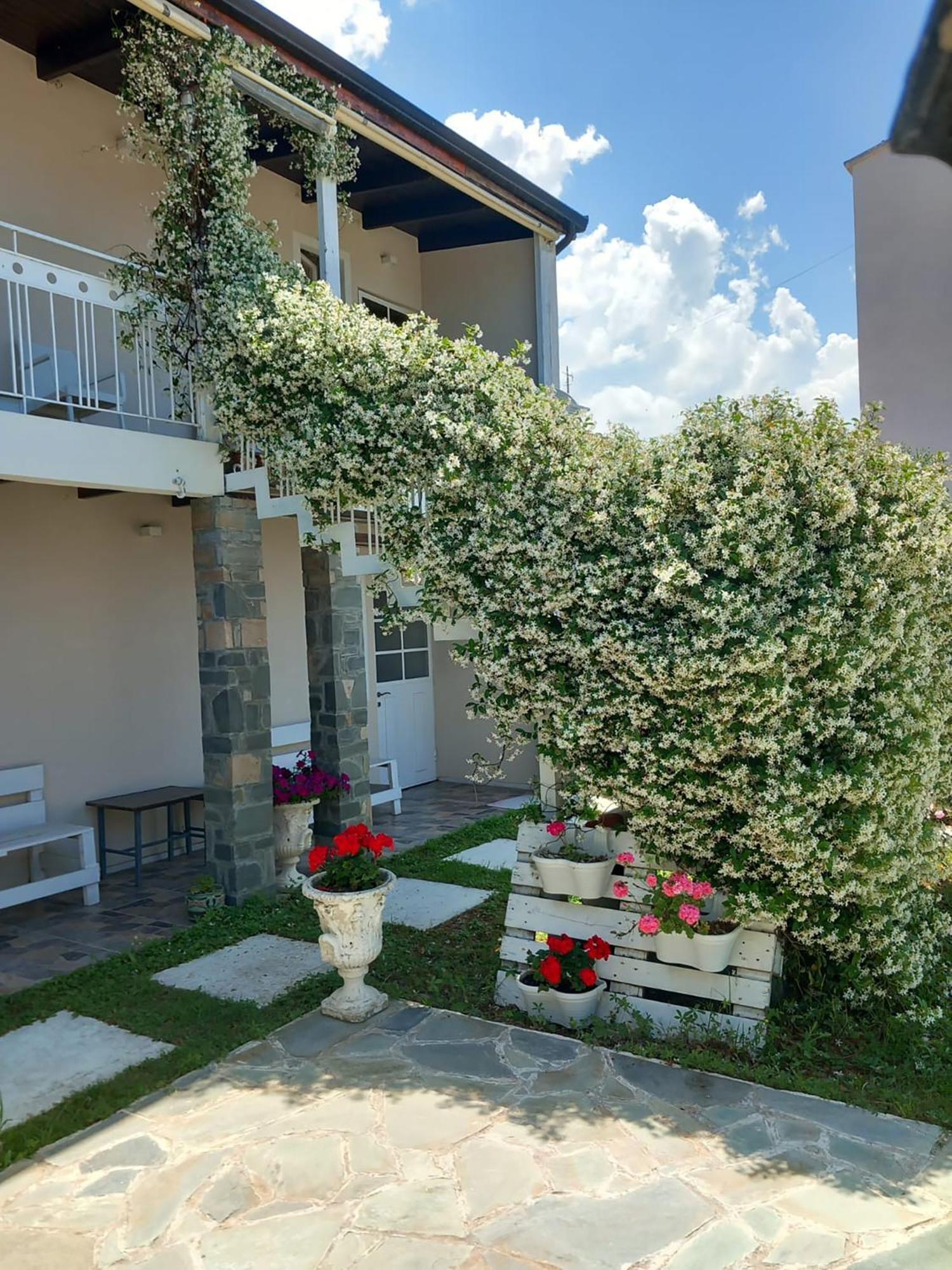 Nili Apartament