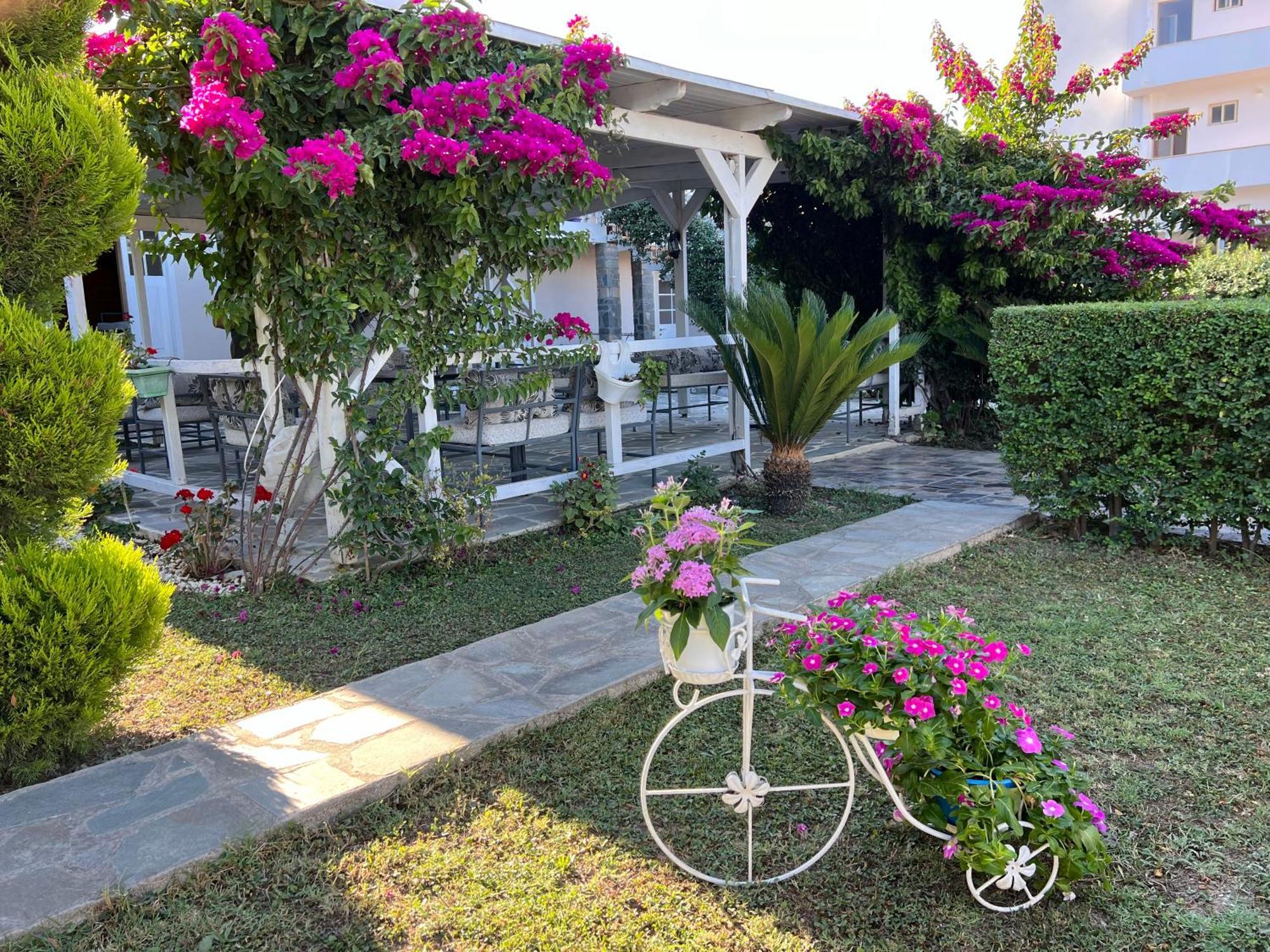 Apartament Nili *